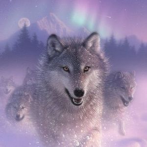 Meet your Posher, Evelyn